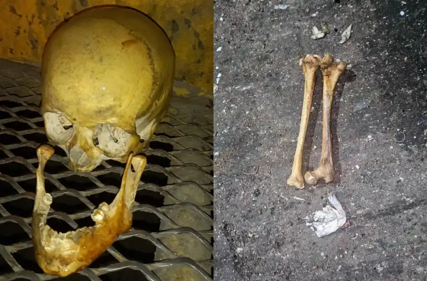 El hecho ocurrió en Italia y Rivadavia, cerca de la terminal de Mar del Plata.