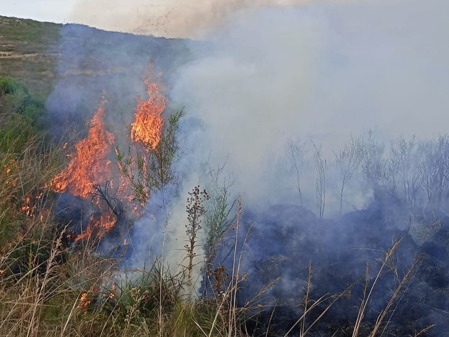 incendio sierras 23-02-25