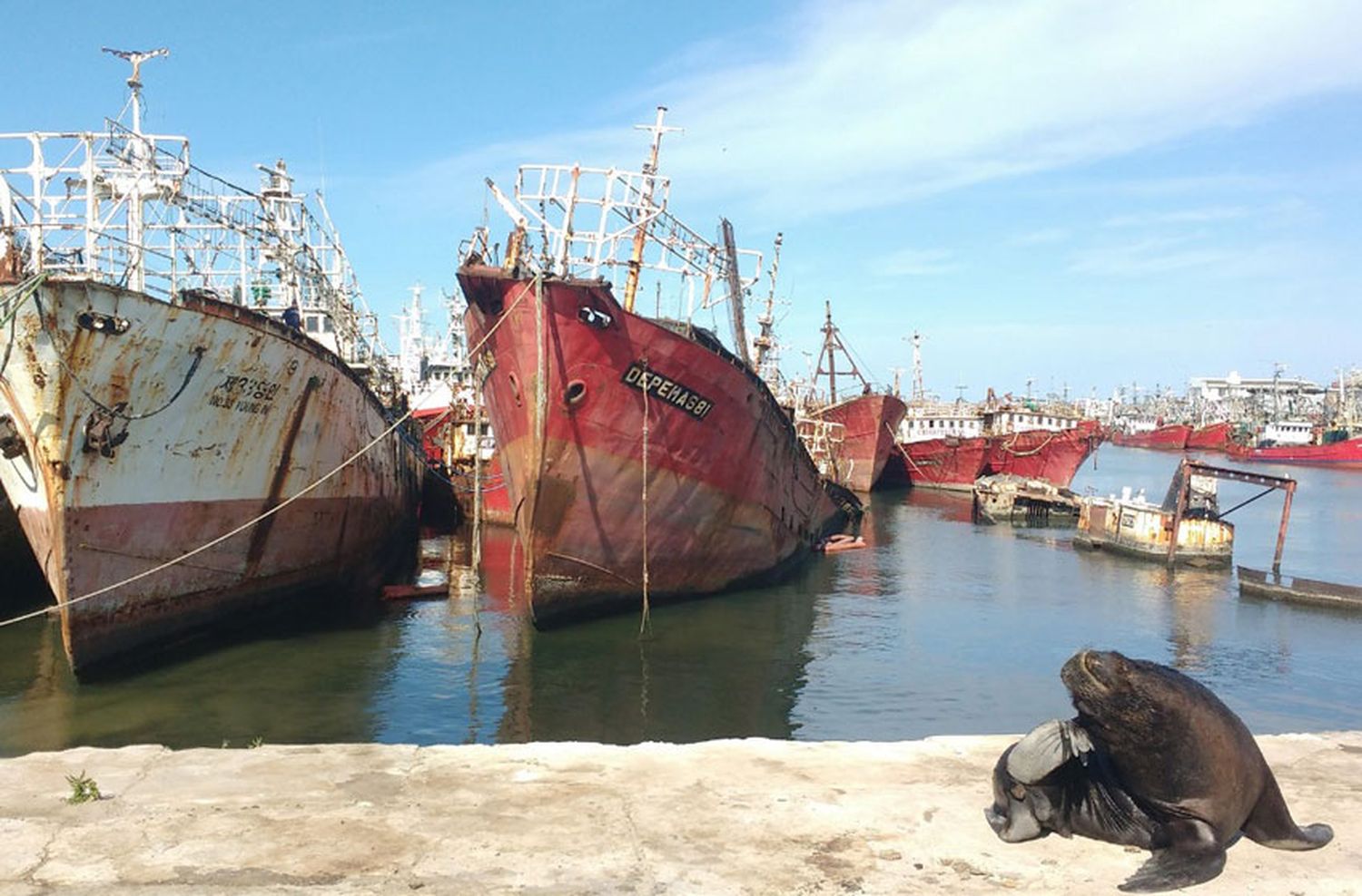 Un plan de desguace que marcha a paso de tortuga