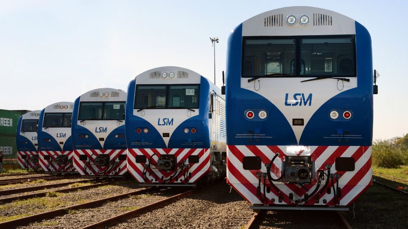 Denunciaron a una mujer por presuntamente darle alcohol a una beba en el tren San Martín