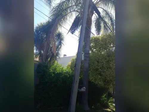 El poste fue enderezado por personal de Telecom.