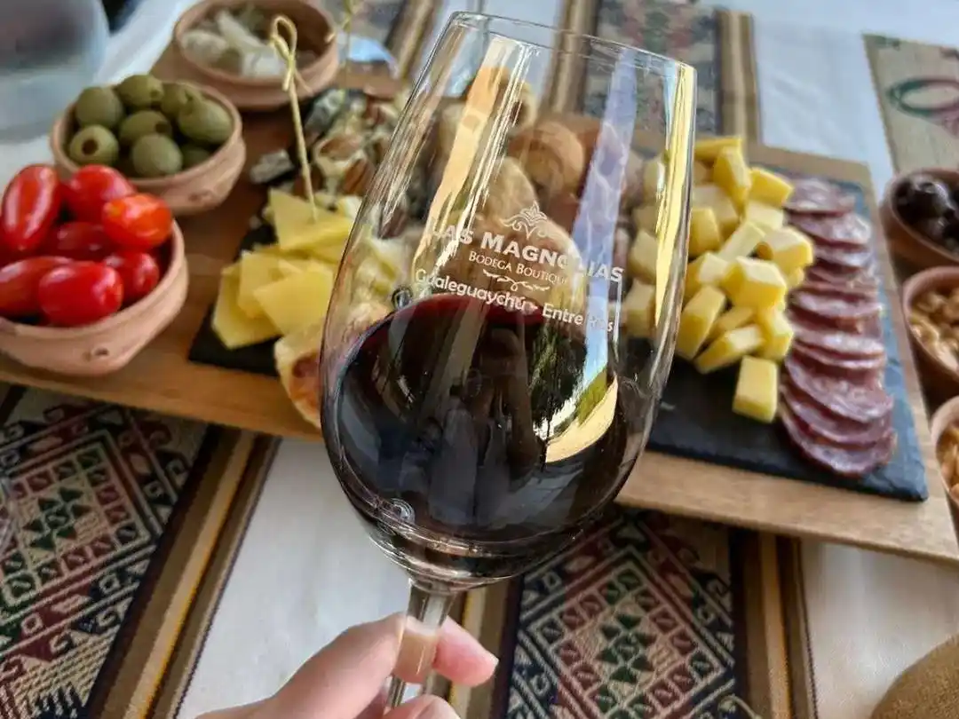 Gualeguaychú impulsa el enoturismo con el "Camino del Vino"