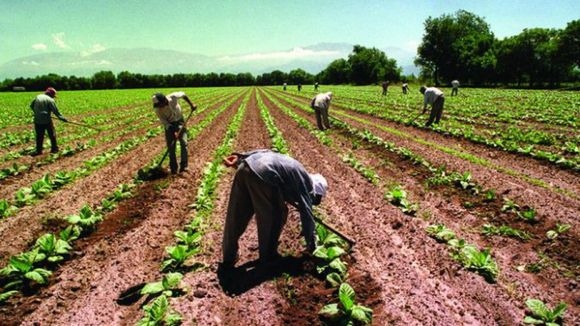 Senador y Diputado se cruzaron por el aumento de la pobreza y la responsabilidad del “campo”