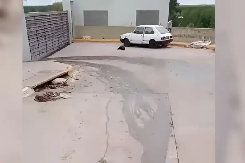 pasaje fera líquidos cloacales