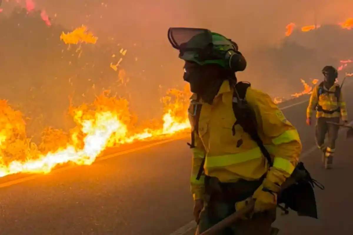 Bomberos trabajan en el lugar para detener el fuego.