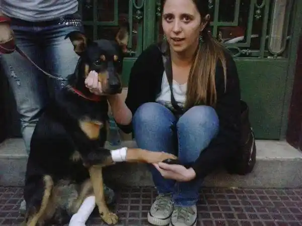 Un perro héroe salvó a una mujer de un momento de peligro