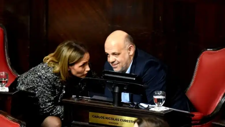 Curestis se colgó la medalla por la caída de una sesión clave en el Senado, pero el oficialismo se la tumbó solo