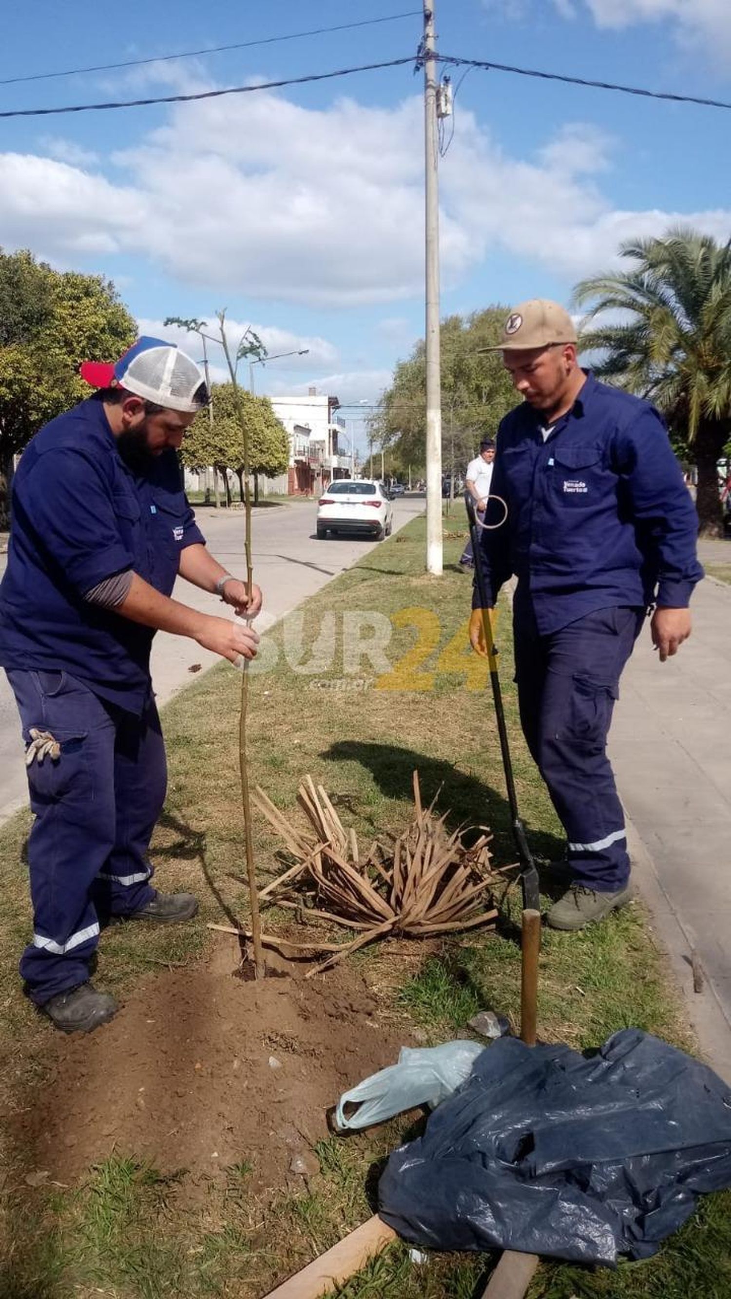 Plaza Italia: nueva forestación en senderos perimetrales