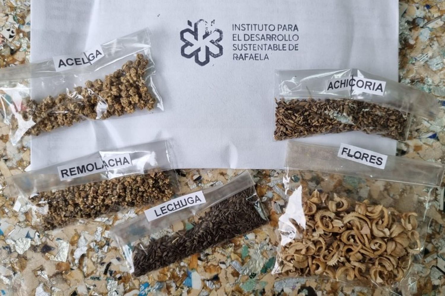 Huerta en casa: se encuentran a disposición kits de semillas