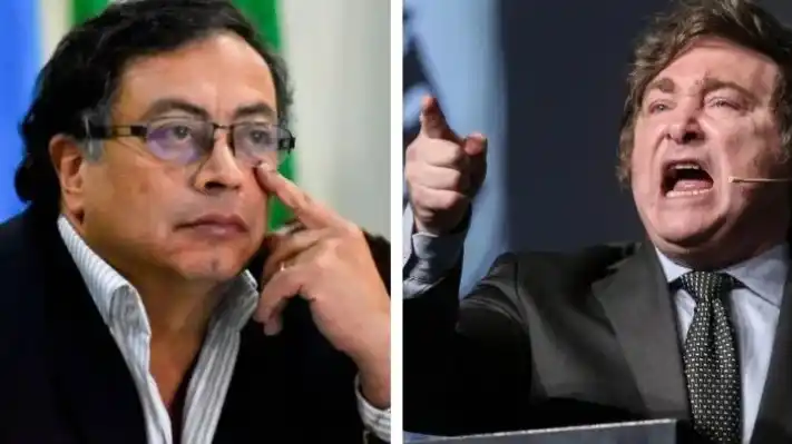 En la nota citada por Petro, Milei se pregunta: "¿Qué es en el fondo un socialista? Es una basura, es excremento humano”.