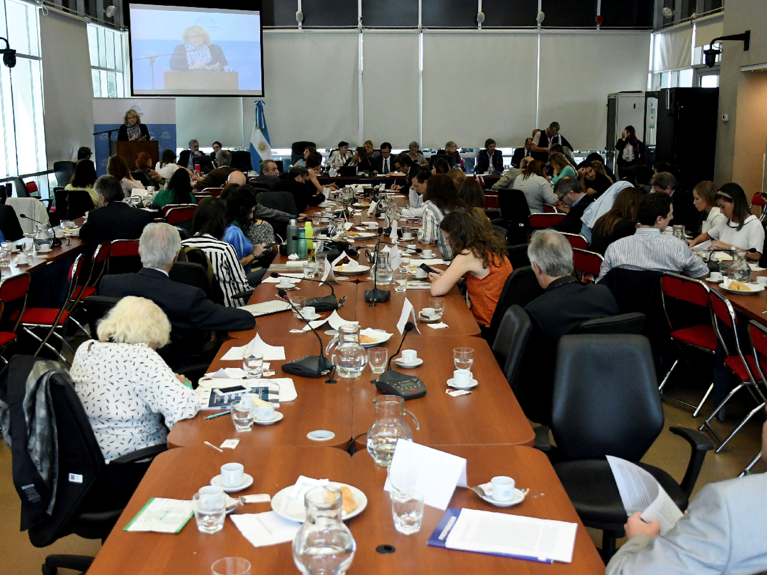 Video de un aborto quirúrgico sacudió cuarta jornada de debate
