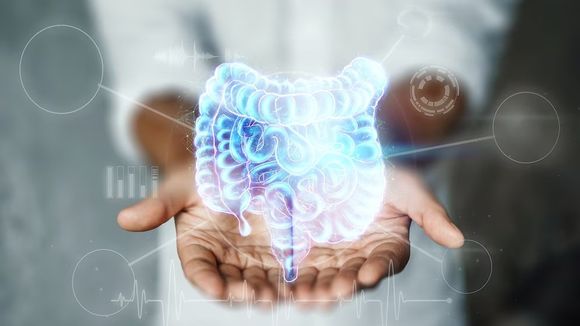 Aumentan los casos de enfermedades intestinales crónicas