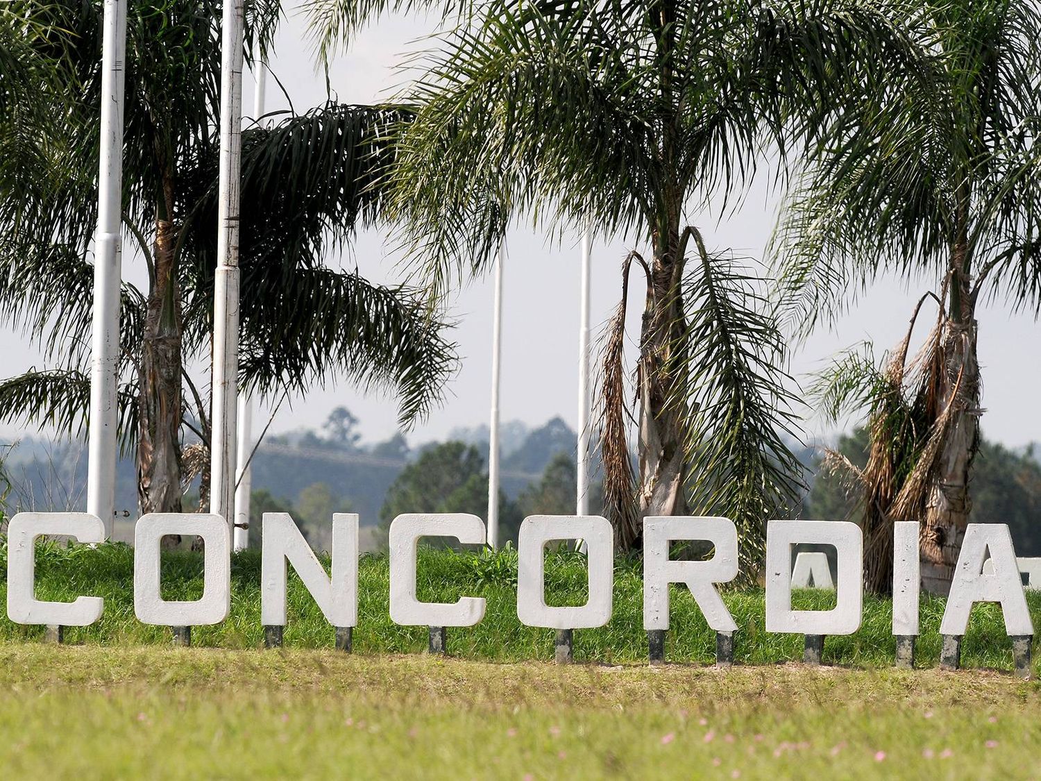 Concordia pasó a estar bajo transmisión comunitaria