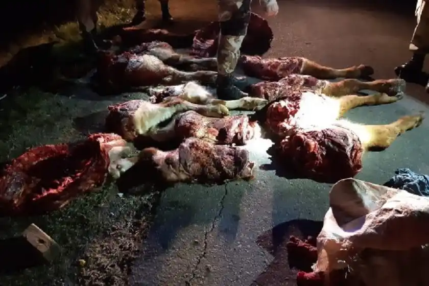 Productores y dirigentes agropecuarios expectantes  por un fallo judicial sobre abigeato