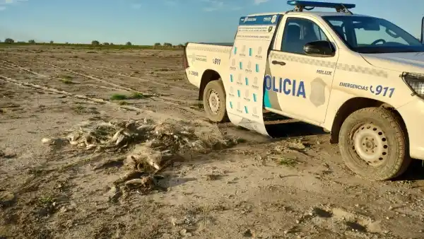 Patrulla rural decomisó redes de pesca en la laguna La Limpia