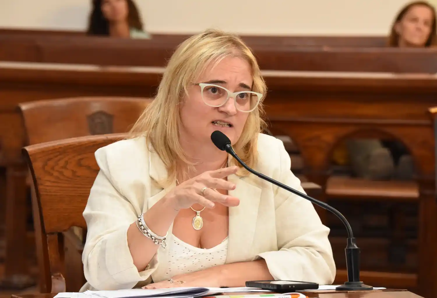 La concejal de la UCR, María Haydeé Condino.