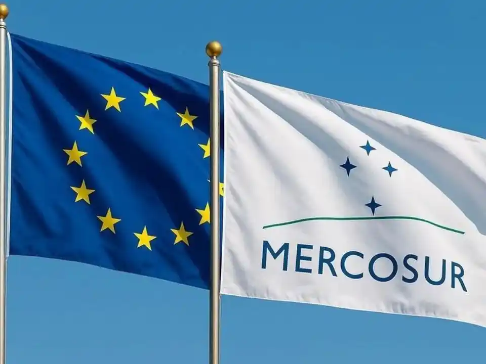 Acuerdo Mercosur-UE: la Argentina completó el cupo exportador de huevos y superó las 330 toneladas
