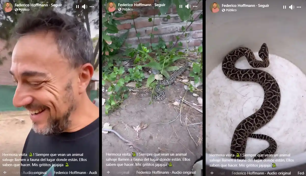 Federico Hoffmann tuvo una inesperada visita en su casa de Claromecó (video)