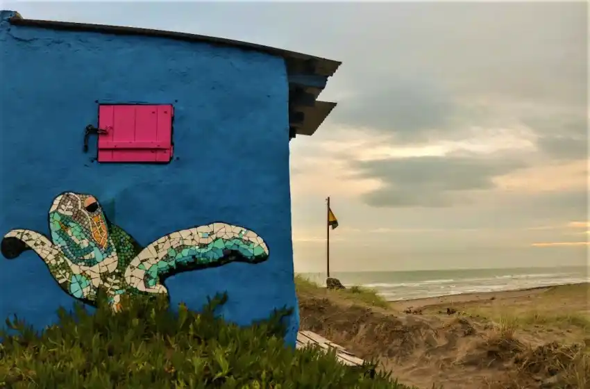 El importante rol de los guardavidas en los varamientos de fauna marina