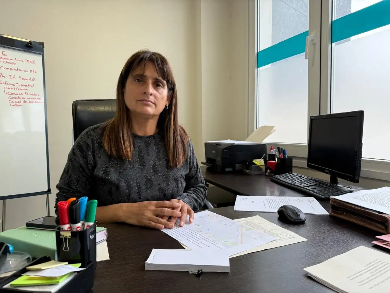 La secretaria de Protección Ciudadana, Alejandra Marcieri, brindó detalles de los avances en la implementación del Sistema Multiagencia.