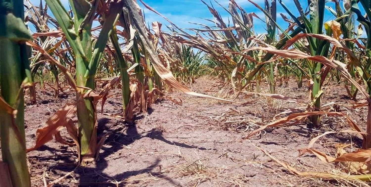 La Mesa de Enlace santafesina se expresó en una enérgica “carta abierta”