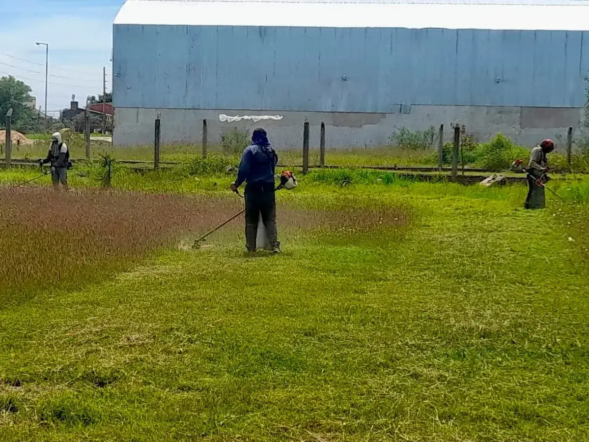 Intensifican tareas de jardinería, poda y desmalezado en Formosa