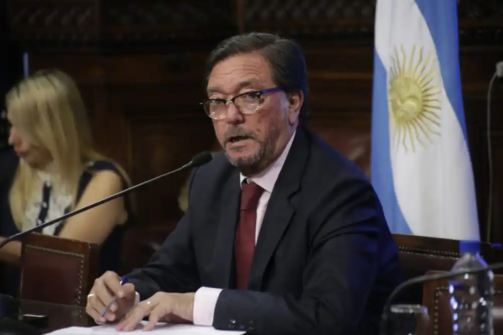 Guastavino anticipó que votará a favor del aborto