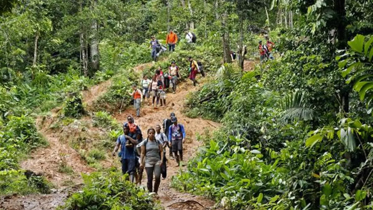 ¡SIGUE EN AUMENTO! Más de 68.000 migrantes han cruzado el Darién en 2024