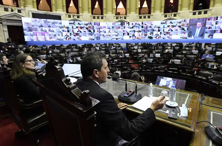Diputados inició la primera sesión virtual de su historia y aprobará proyectos sobre salud