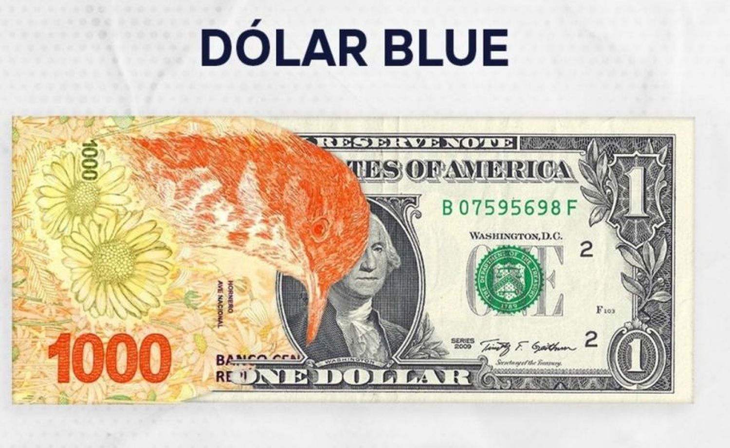 El dólar blue, subió 45 pesos y cerró a $1.235: el oficial llegó a $1.000