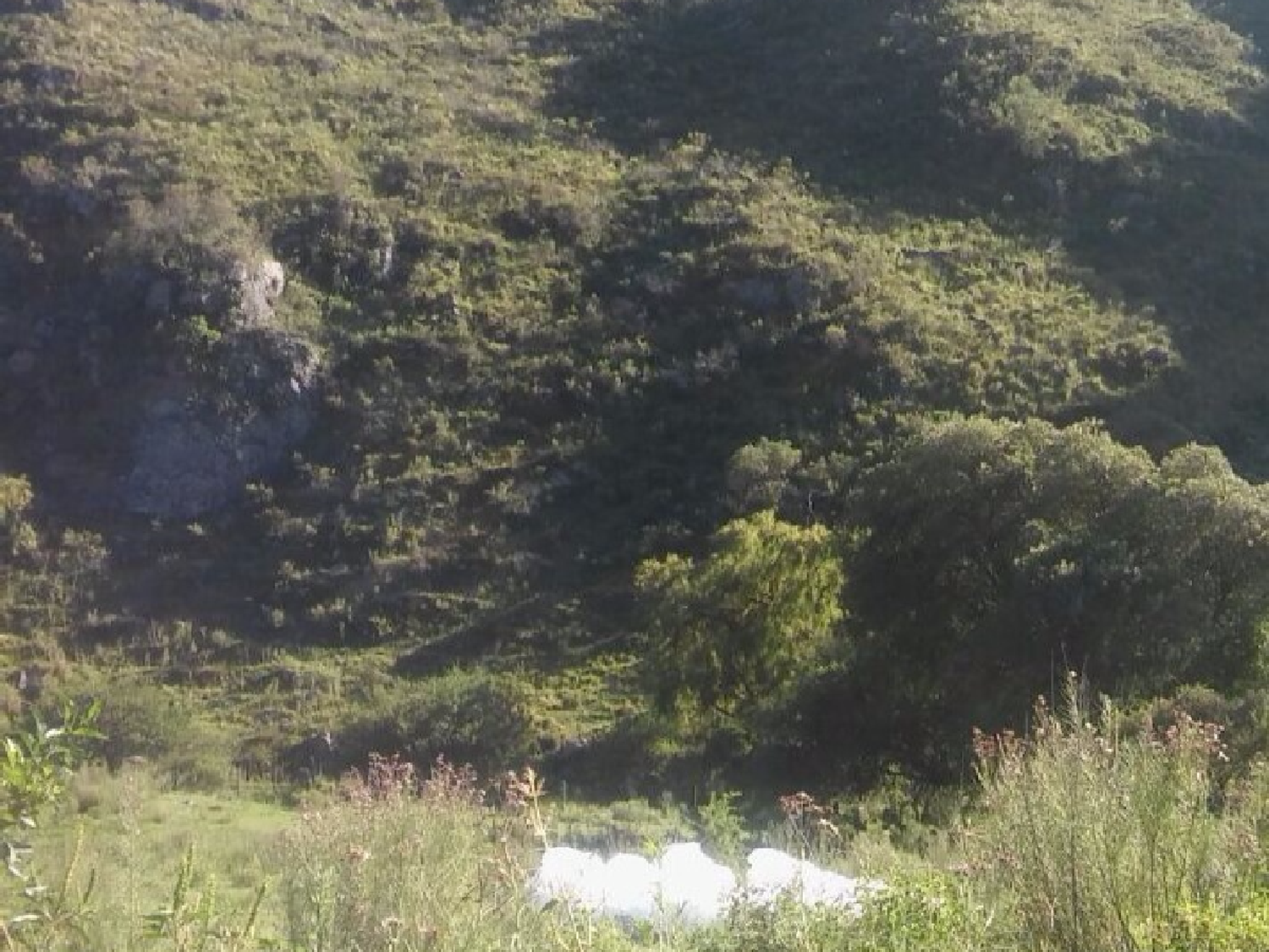 Un globo de Google descendió en las sierras de Córdoba