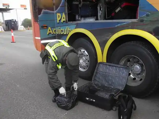 Gendarmería secuestró 37 kilos de marihuana en un micro de larga distancia
