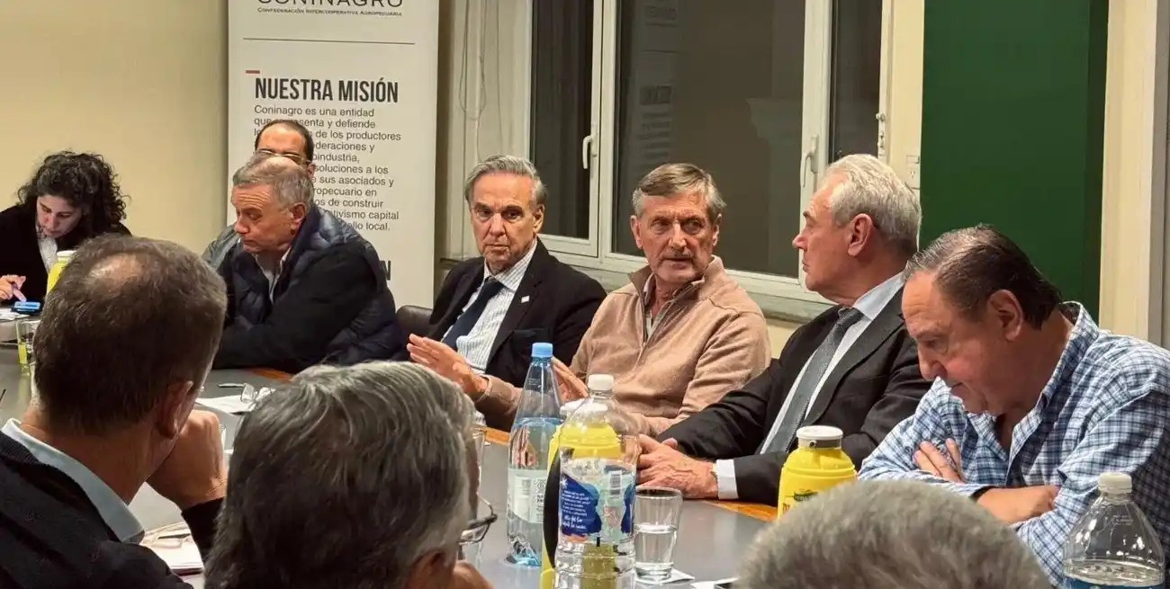 Pichetto y Benedetti, los ediles que más fogonean el RIDA.