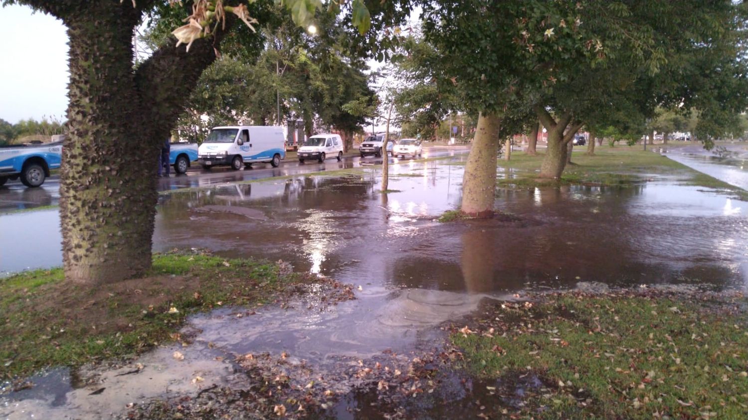 Precaución en Avenida Alem: gran masa de agua por la rotura de un caño