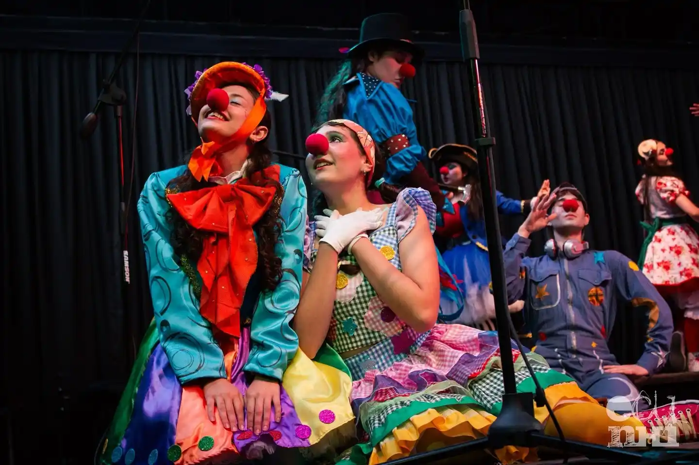 Teatro Musical Venado