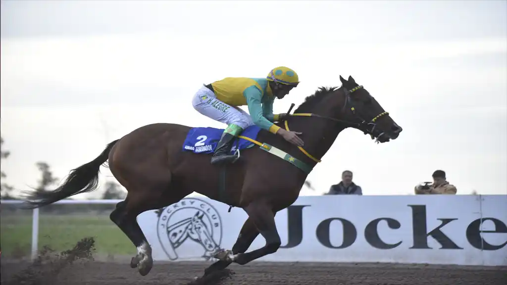 Amigo Gobernador cruzó triunfante el disco.