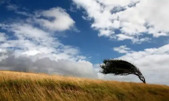 Alerta amarilla por vientos fuertes en todo el oeste bonaerense
