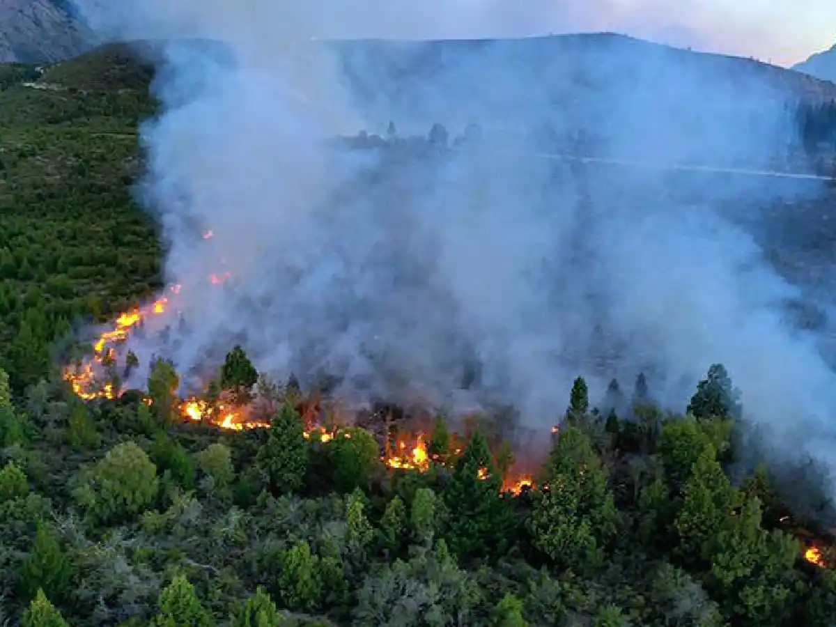 Seis personas fueron imputadas por autoría del incendio forestal en El Bolsón