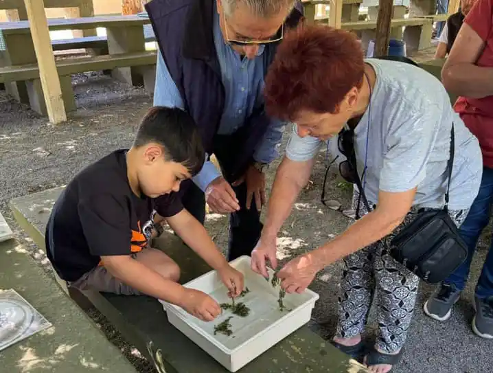 lago dique siembra pejerrey centro nautico 04-01-25 - 2