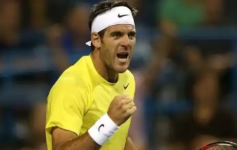 Cincinnati: Del Potro enfrenta a Isner por un lugar en la final