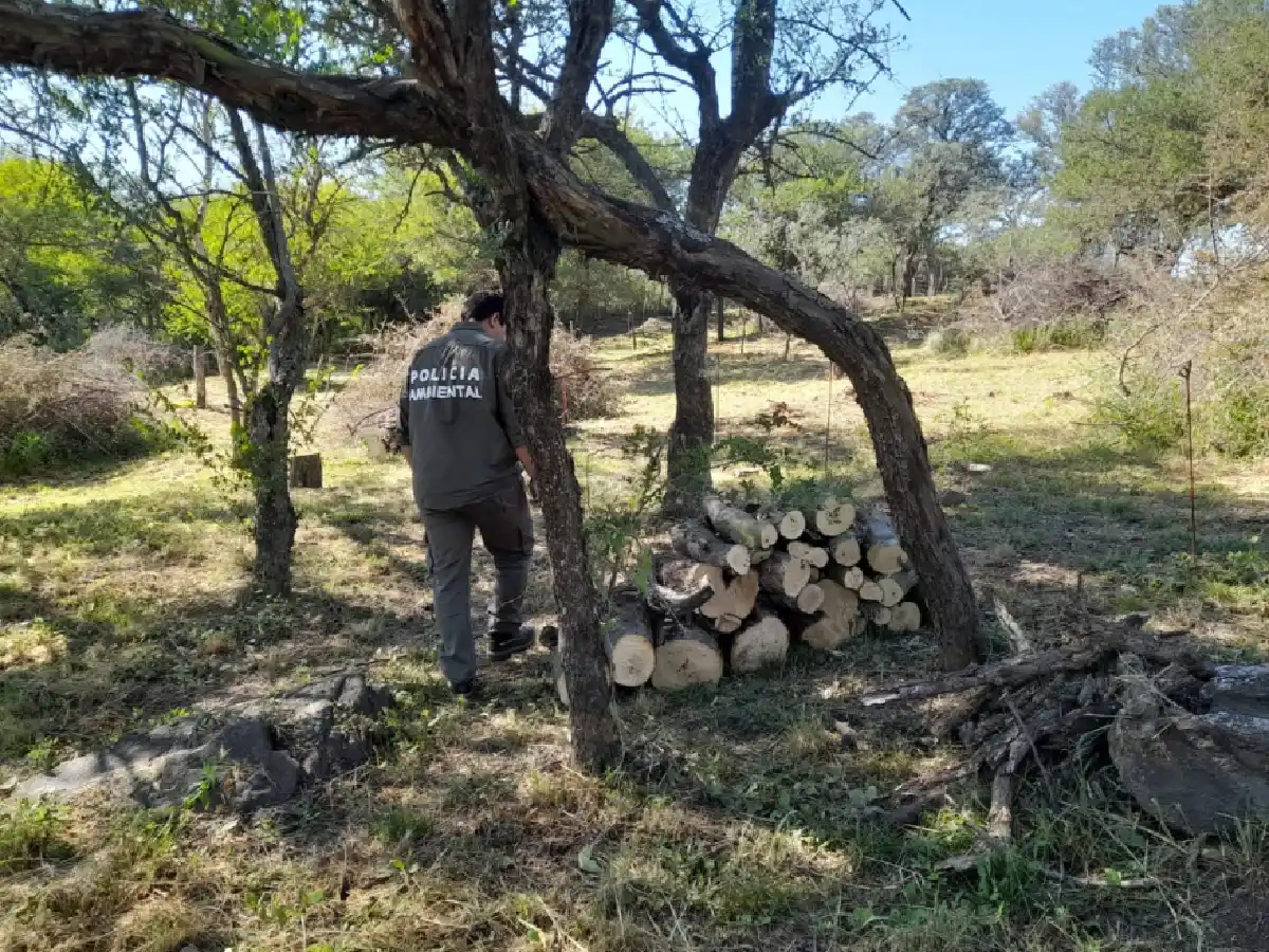 Policía Ambiental frenó intervenciones forestales en diferentes zonas de Córdoba 