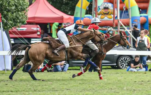 Chascomús se prepara para dos jornadas de pato en la Asociación Rural