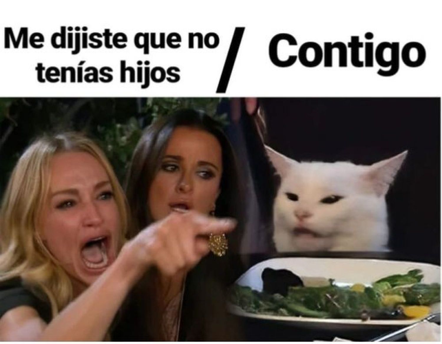 El origen del popular meme del gato en la mesa y la mujer que le grita