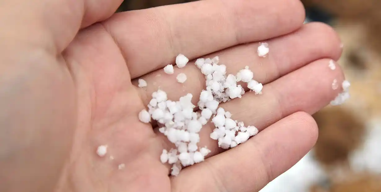 Así se ve el graupel, que de lejos puede confundirse con nieve