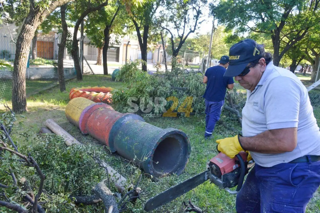 El Municipio trabaja intensamente en poda, demalezado y limpieza