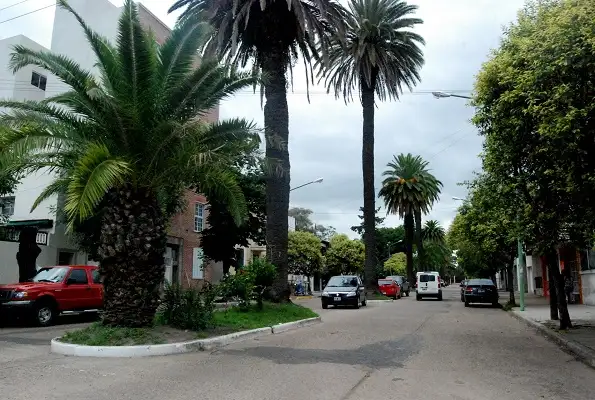 Después de la lluvia, se espera un domingo nublado a la mañana y templado a la tarde