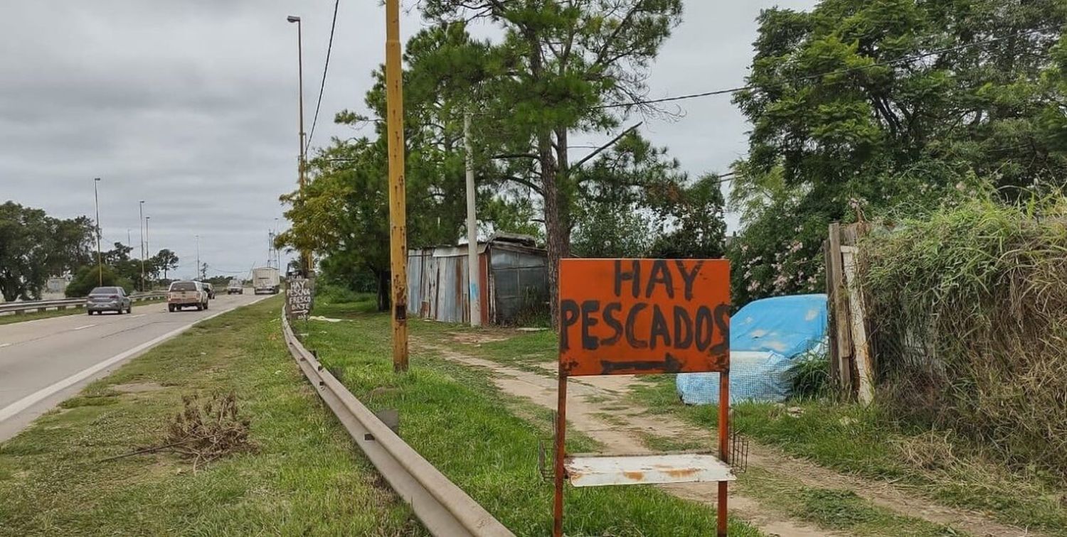 Alerta: los sábalos del río Salado en Santa Fe registran el nivel de agrotóxicos más alto del mundo