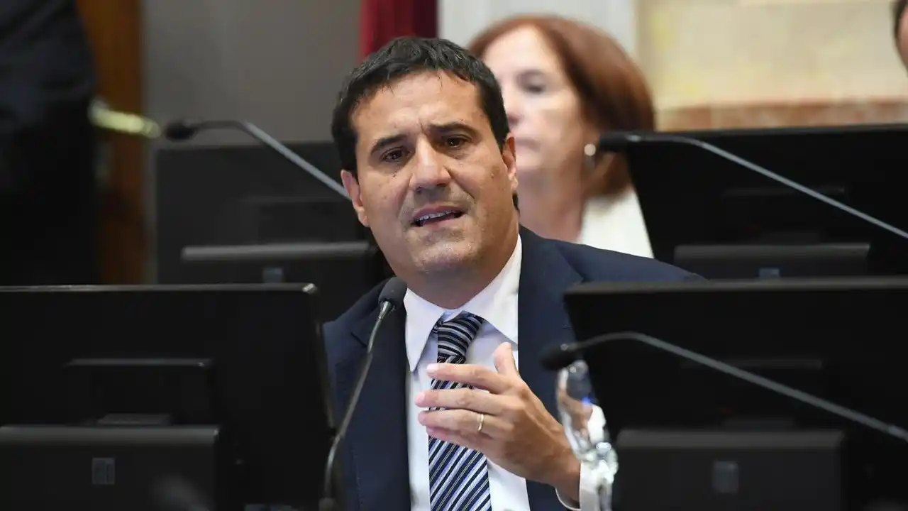 Maximiliano Abad. Senador Nacional