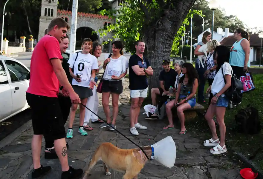Desde Navidad hasta ahora se perdieron más de 200 perros a causa de la pirotecnia 