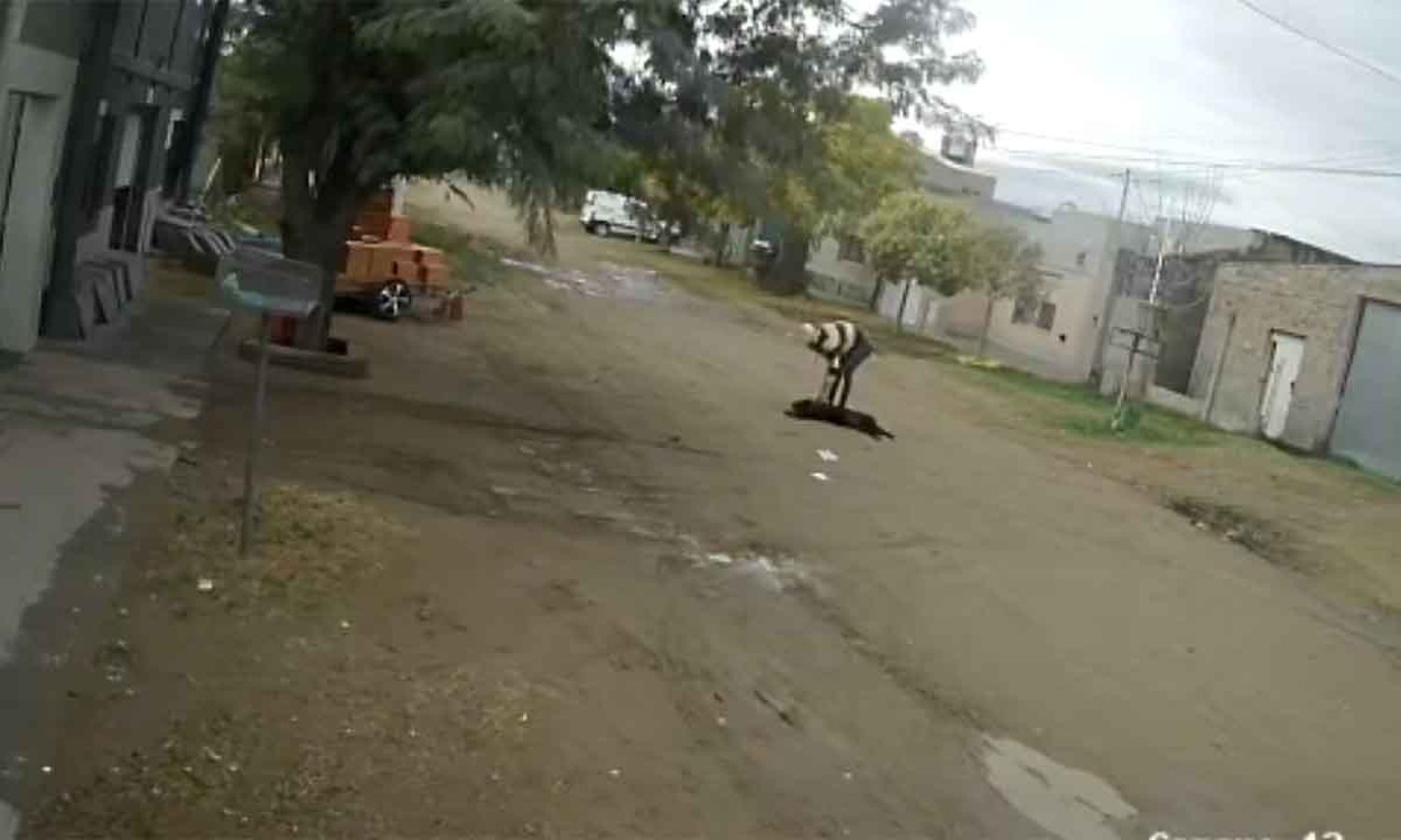 Un hombre arrastró a su perro y lo golpeó en Bahía Blanca: Los vecinos lo denunciaron